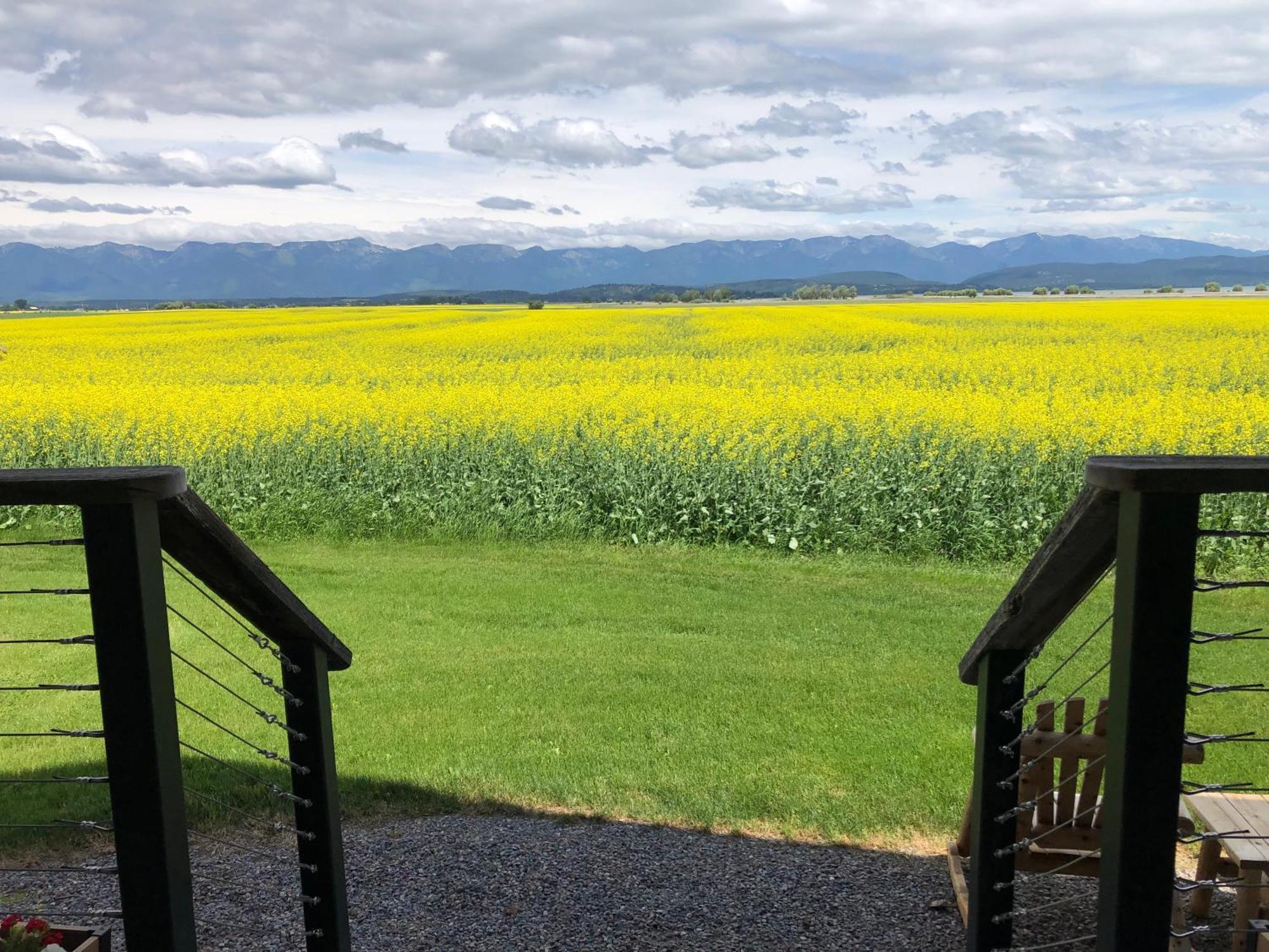 New Cabin With Spectacular Views Of Flathead Lake. Somers 外观 照片